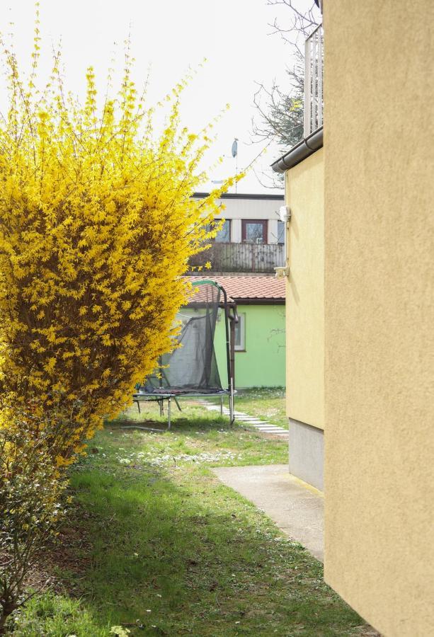 Small-Comfy Guest House In Donaustadt Garden - Not Shared! Вена Экстерьер фото